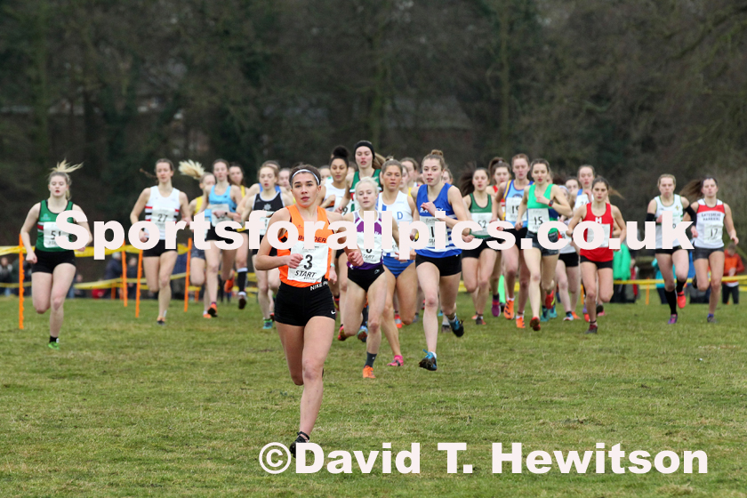 Womens under-20 Northern Cross Country Champs., Camp Hill Estate, Kirklington.  Photo: David T. Hewitson/Sports for All Pics